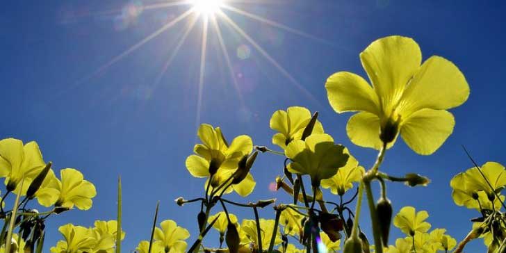 how living in Cyprus is special